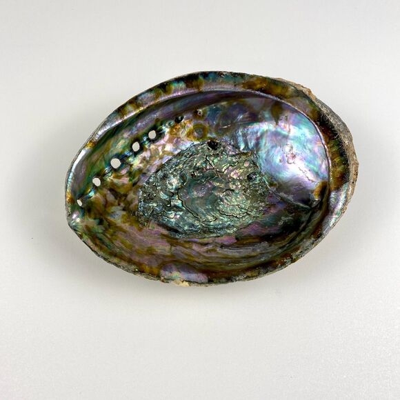 Abalone Shell 6”x5” Beautiful Display Piece Coastal Decor Trinket Dish Beach - Picture 1 of 12
